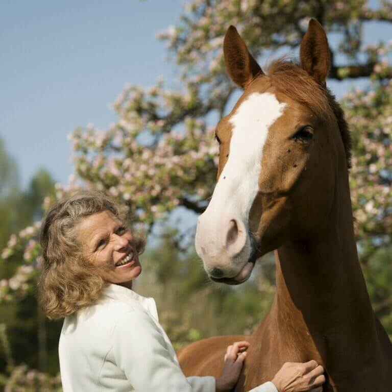 Bea krault Pferd auf der Koppel mit Apfelblüten im Hintergrund.