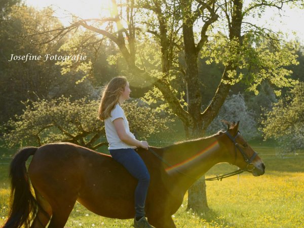 Mädchen reitet mit Pony ohne Sattel über eine Blumenwiese.