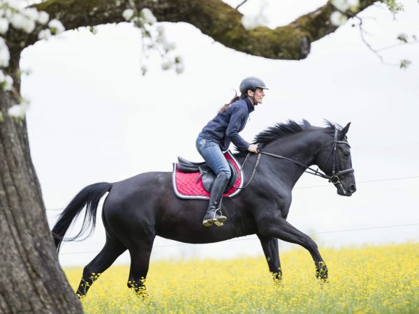 Pferdepension_Ausreiten4